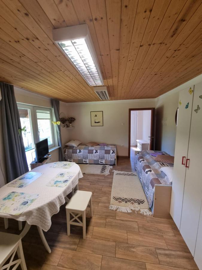 Dobra Hisa Zdravja Cicarija Hotel Golac Kültér fotó