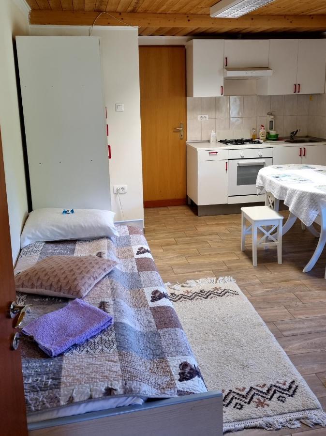 Dobra Hisa Zdravja Cicarija Hotel Golac Kültér fotó